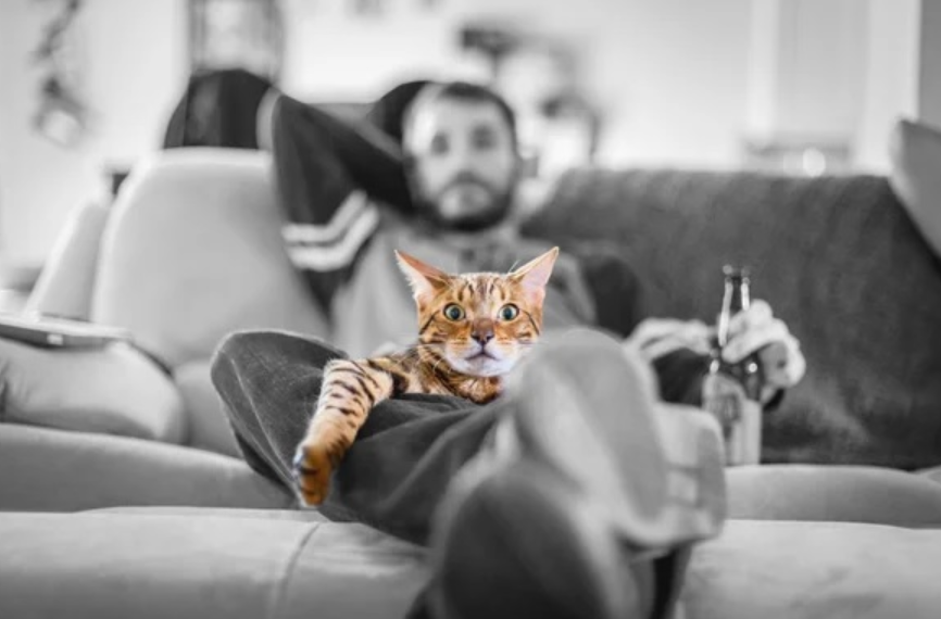 [Алексей Фалеев] Идеальная мотивация (2020)_0.png